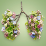 Educazione respiratoria